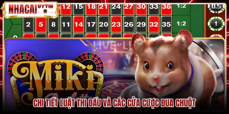 Chi tiết luật thi đấu và các cửa cược Đua chuột Luật đặt cược và tỷ lệ trả thưởng game Đua chuột